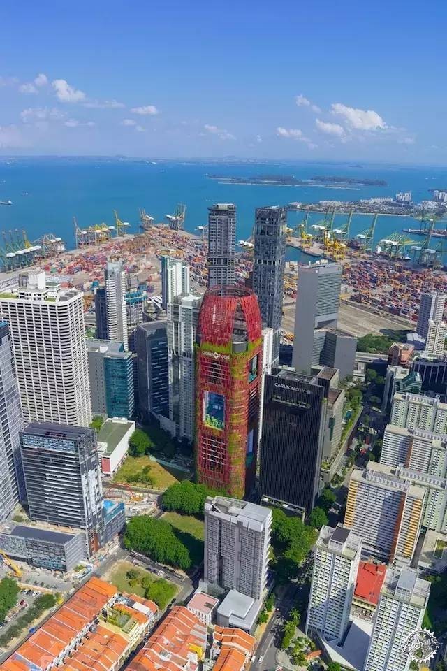 新加坡的生態(tài)建筑專業(yè)戶，又建了一個(gè)長(zhǎng)滿綠植的酒店第3張圖片