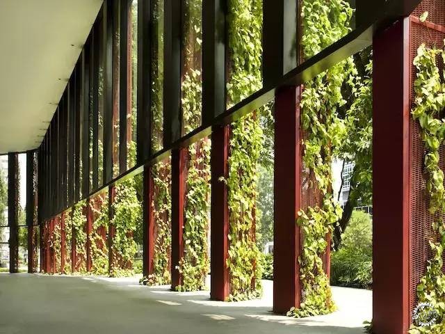 新加坡的生態(tài)建筑專業(yè)戶，又建了一個(gè)長(zhǎng)滿綠植的酒店第15張圖片