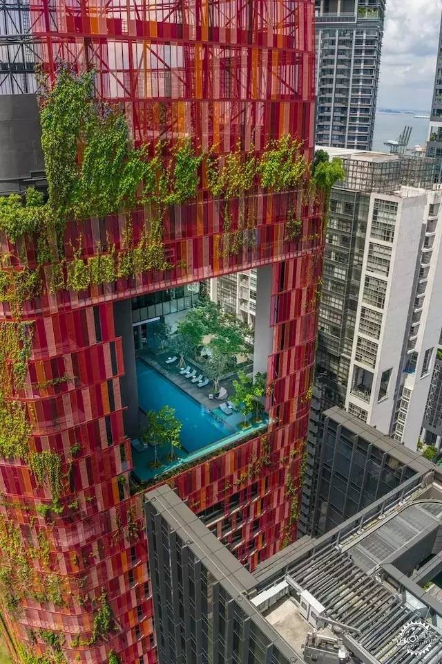 新加坡的生態(tài)建筑專業(yè)戶，又建了一個(gè)長(zhǎng)滿綠植的酒店第11張圖片