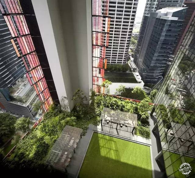 新加坡的生態(tài)建筑專業(yè)戶，又建了一個(gè)長(zhǎng)滿綠植的酒店第13張圖片