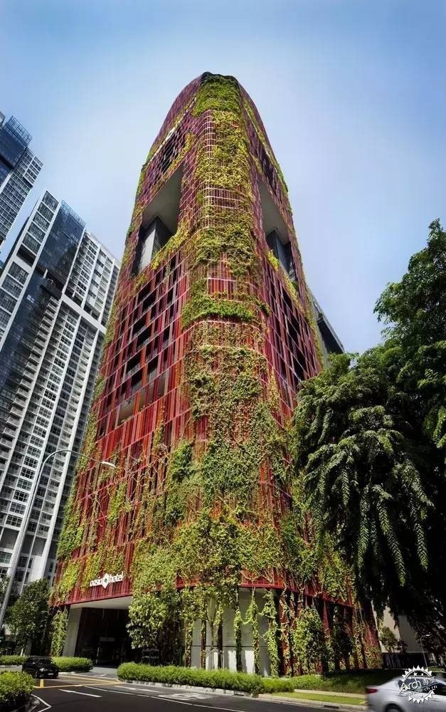 新加坡的生態(tài)建筑專業(yè)戶，又建了一個(gè)長(zhǎng)滿綠植的酒店第7張圖片