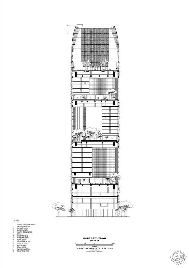 新加坡的生態(tài)建筑專業(yè)戶，又建了一個(gè)長(zhǎng)滿綠植的酒店第9張圖片