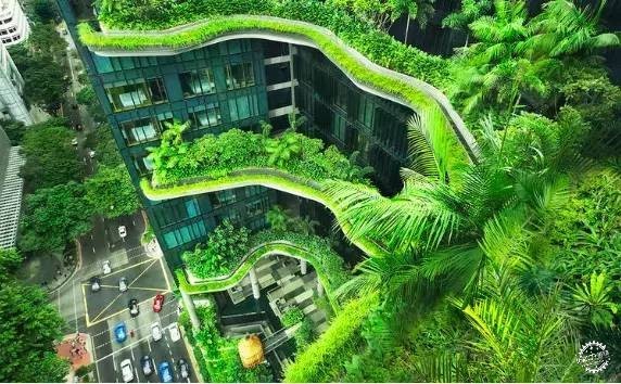 新加坡的生態(tài)建筑專業(yè)戶，又建了一個(gè)長(zhǎng)滿綠植的酒店第2張圖片